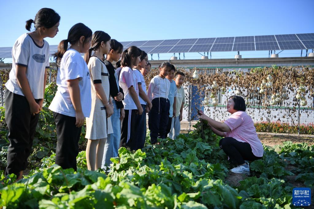 合乐888电脑版登录